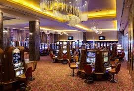 559bet