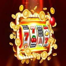 559bet